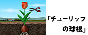 Ohba