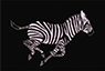 icon_zebra